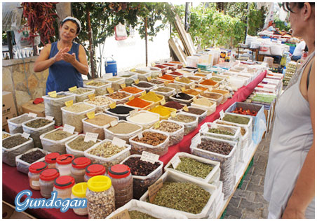 Gundogan (the Sunrise)